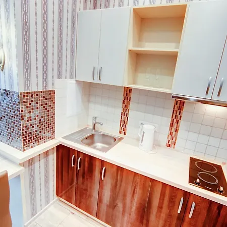 каллитон и клиника им ак.филатова Appartement *